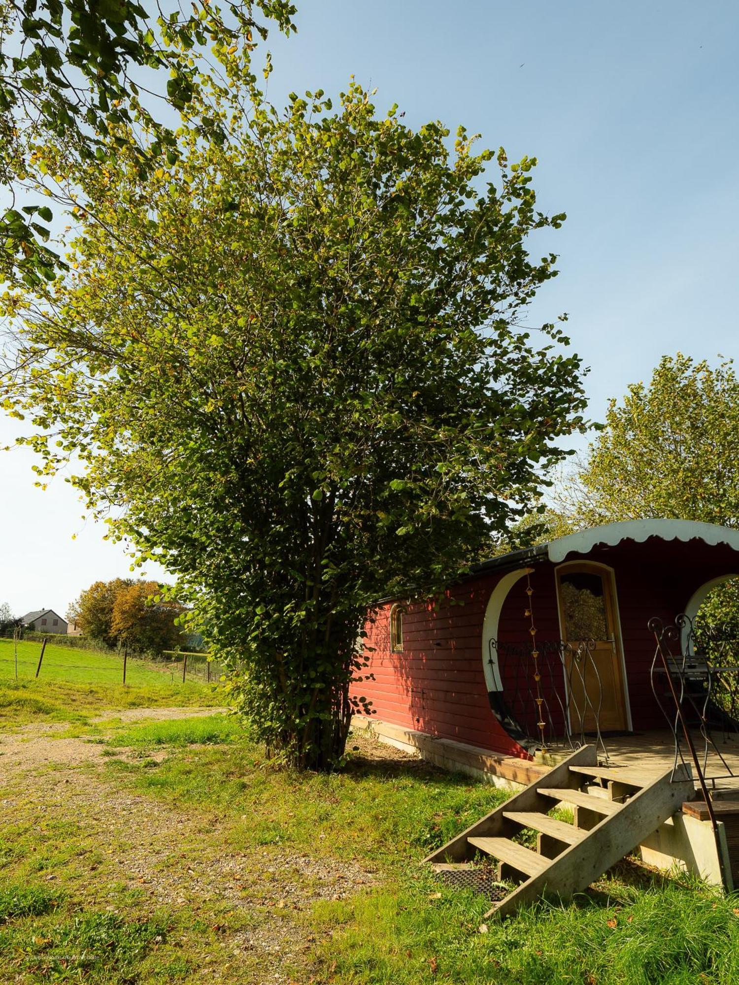 La Tiny House De La Bergerie Vila Lierneux Exterior foto